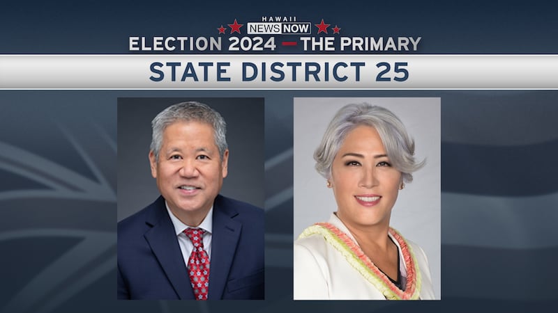 House Speaker Scott Saiki and Attorney Kim Coco Iwamoto are the candidates for Hawaii District...