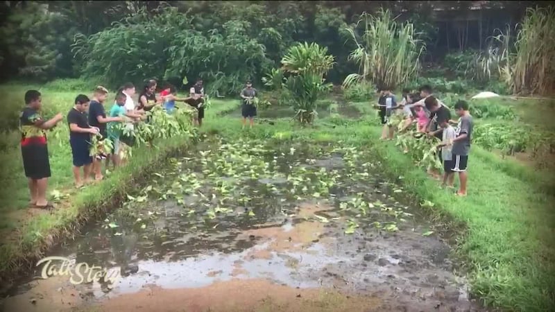 Ulu A’e Learning Center