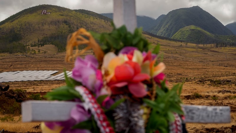 A cross adorned with leis is seen at a memorial for wildfire victims, Saturday, July 6, 2024,...