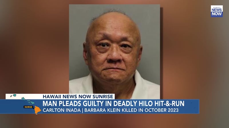 A man who fatally hit and killed a woman last October on Hawaii island has pleaded guilty.