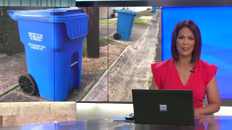 "Tons of garbage sitting on the side of the building. In front of the dumpsters. All over the...