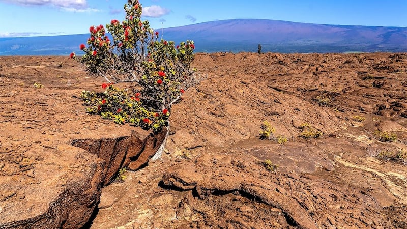 Hawaii Volcanoes National Park