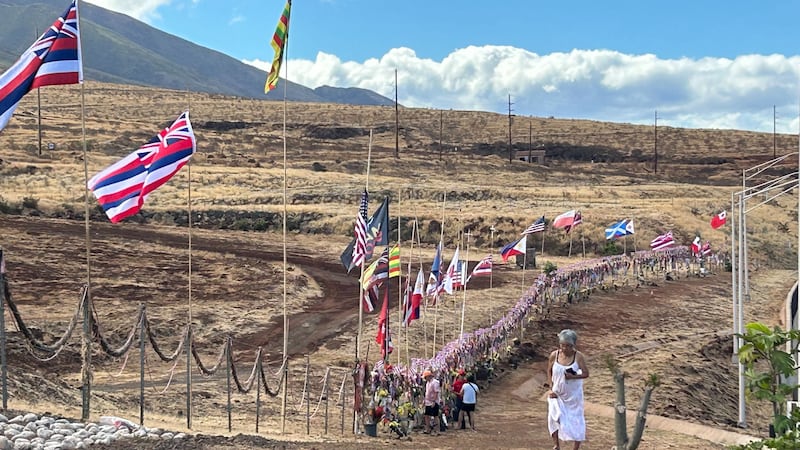 Maui marks one year since the deadly Lahaina wildfires.